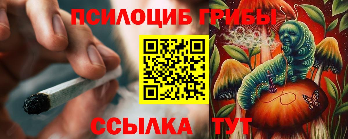 Псилоцибиновые грибы ЛСД Алейск